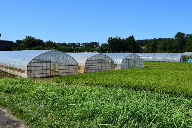温室農業（施設園芸農業）